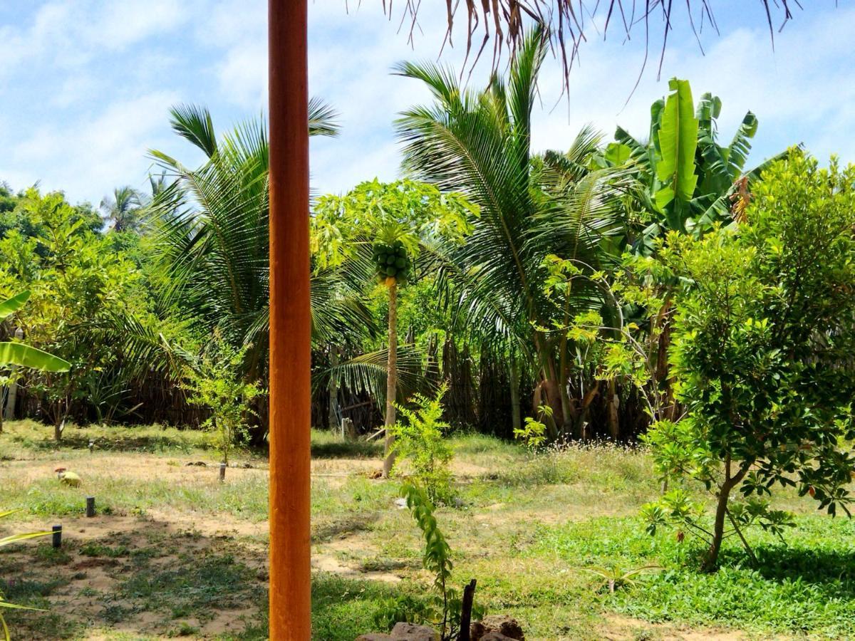 Dune Towers Kalpitiya Bagian luar foto