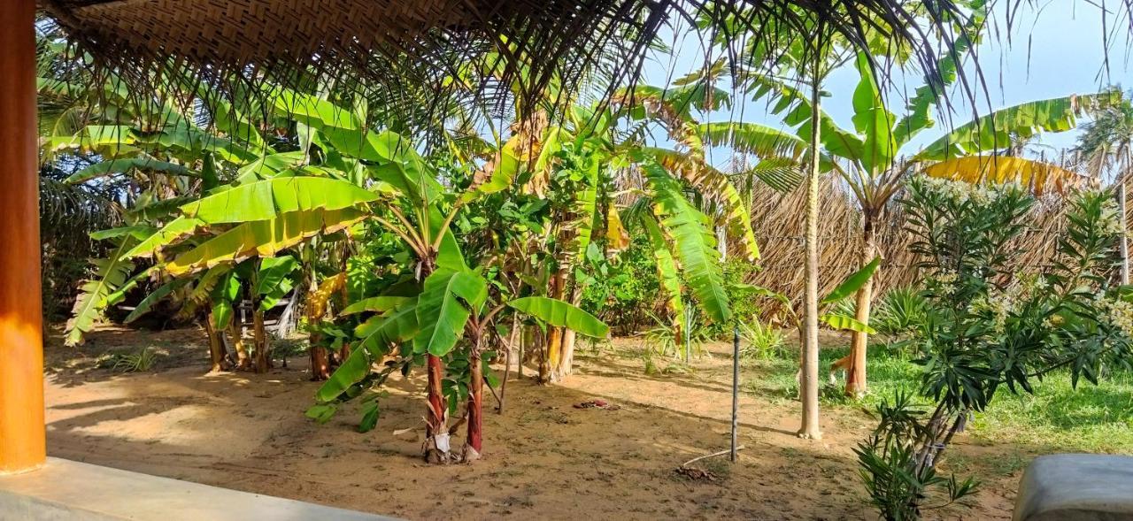 Dune Towers Kalpitiya Bagian luar foto